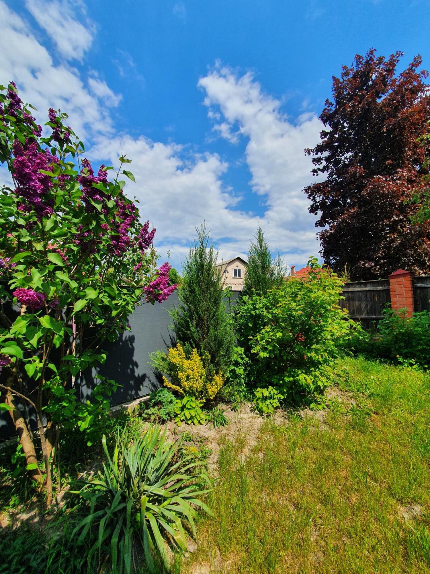 Dacha Koncha Zaspa Kozyn Exterior photo